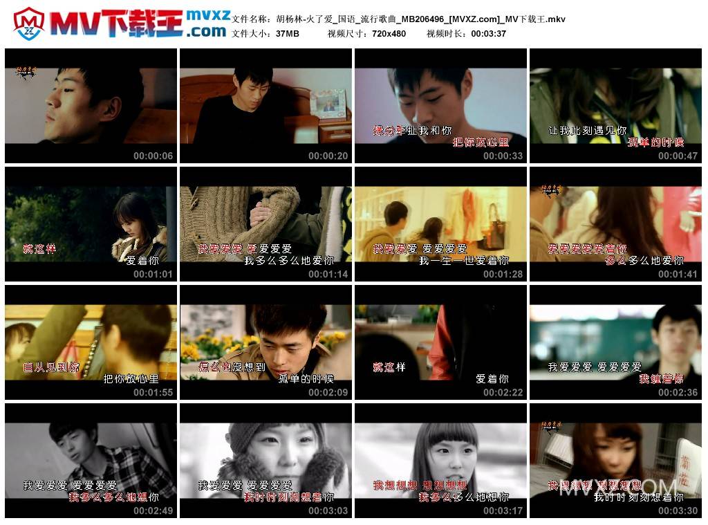 胡杨林-火了爱_国语_流行歌曲_MB206496